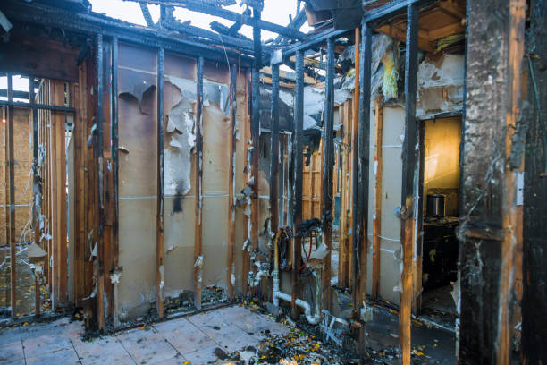 Professional Fire Damage Cleanup technician working in Silver Spring, MD
